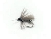 Iron CDC Beatle (ocelov CDC brouek)