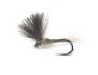  No Hackle and No Body CDC Dun 