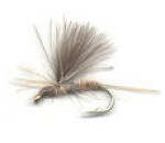  CDC Para Light Beige Dun 