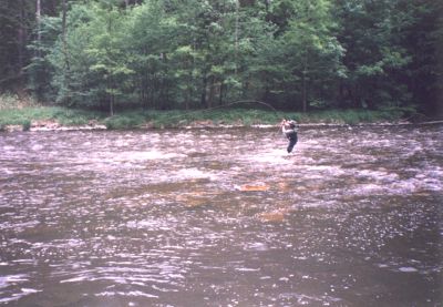 Vltava z K do B
