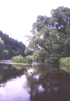 Vltavsk t v st Jlkova potoka