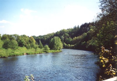 Vltava 24 pod Ztkou v Borov