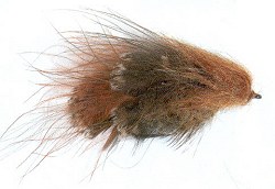  Game-bird Sculpin 