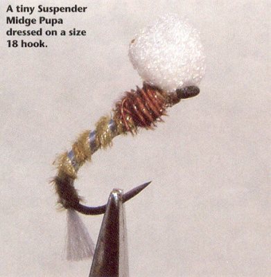  Suspender Midge Pupa 