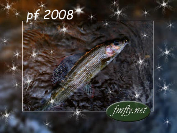  PF 2008 