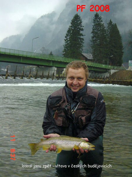  PF 2008 