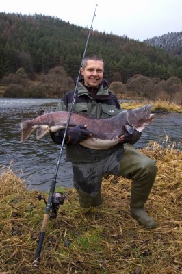  Hlavatka 24,5 kg 