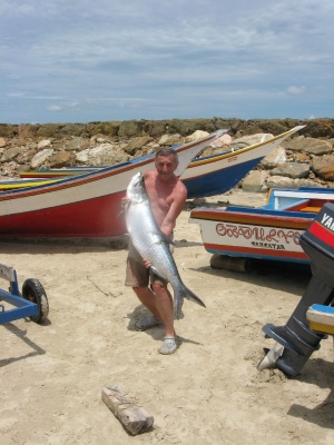  Tom a tarpon 