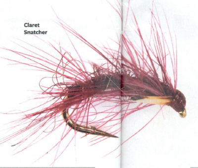  Claret Snatcher 