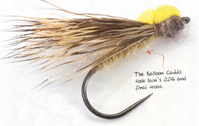  Balloon Caddis 