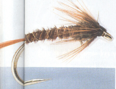  Cruncher 