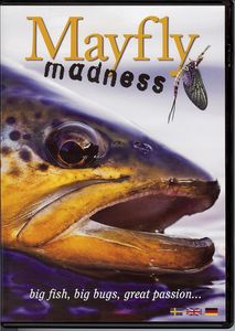  Mayfly madness 