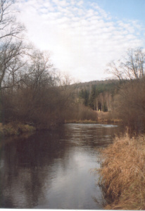  Vltava pod Lenorou 