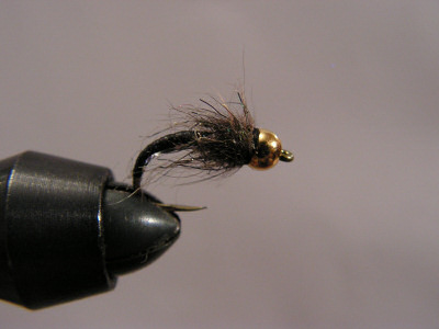  Goldhead Black Buzzer 